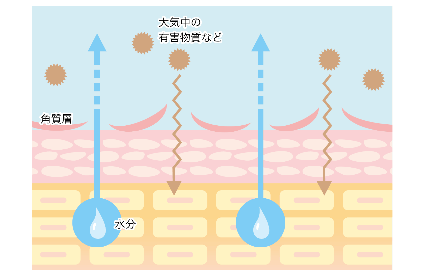 「カミソリ」がもたらすお肌への影響