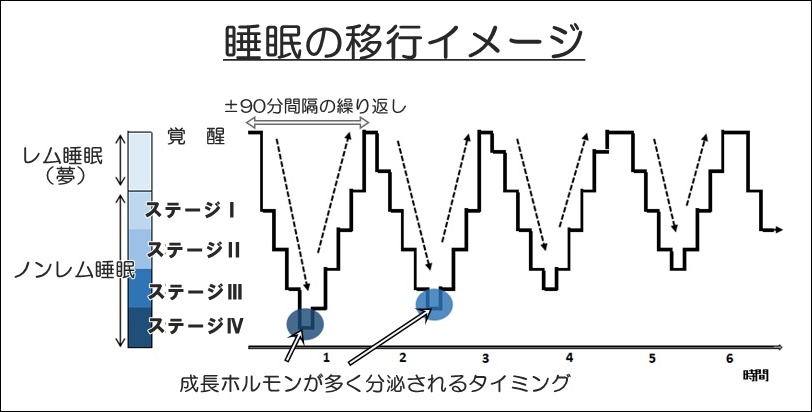 「良質な睡眠」はその人らしさの大前提！


