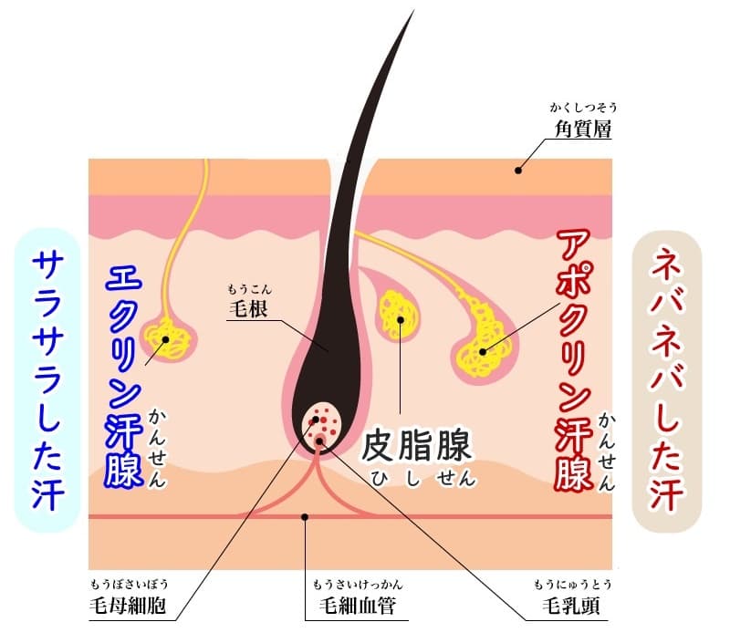 嫌な臭いの発生メカニズムを知る！

