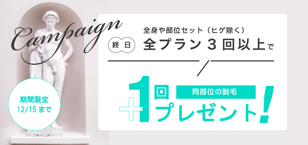 メンズ全身脱毛プラス1回プラン